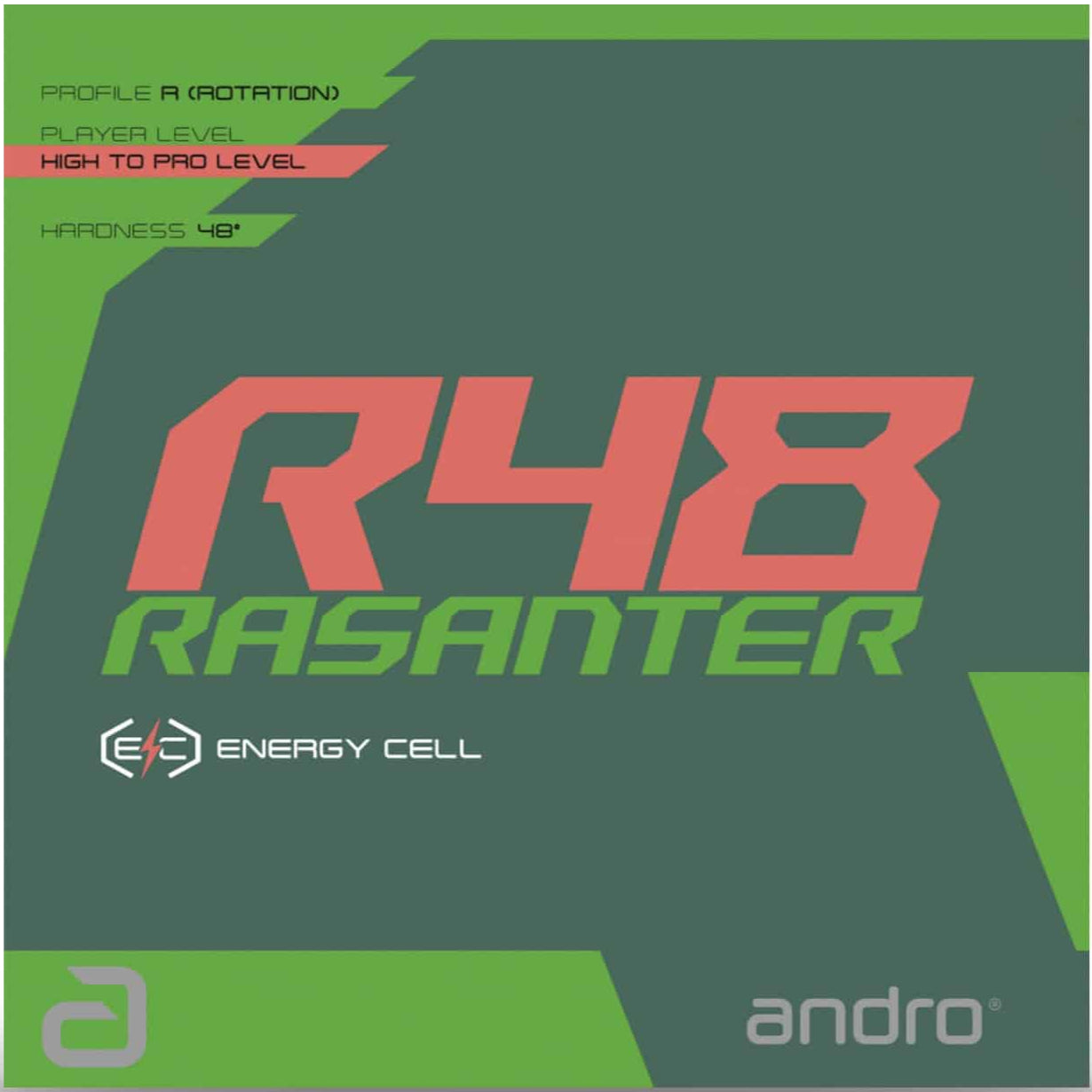 Revêtement ANDRO RASANTER R48