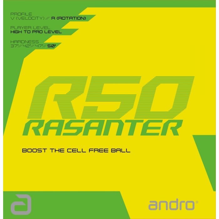 Revêtement ANDRO RASANTER R50