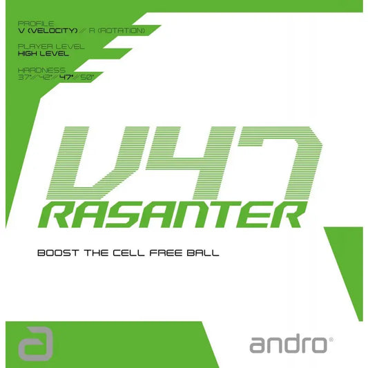 Revêtement ANDRO RASANTER V47