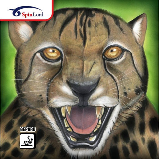 SpinLord GEPARD coating